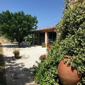https://charmant-loft-a-la-campagne-cavaillon.fr-provencehotel.com