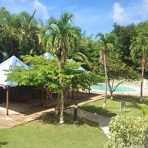 https://caraibes-holidays.comcaribbean.com